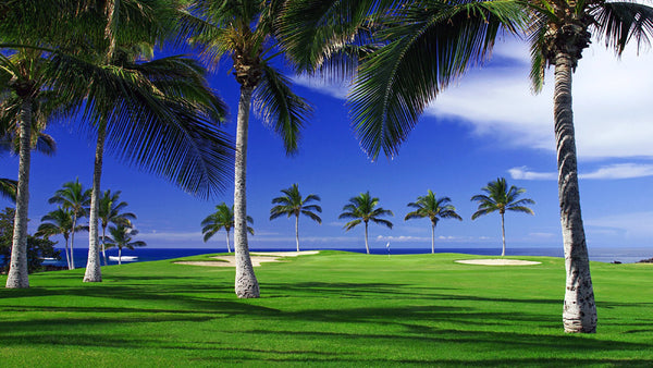 Waikoloa Beach Course