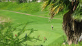 Coral Creek Golf Course 3
