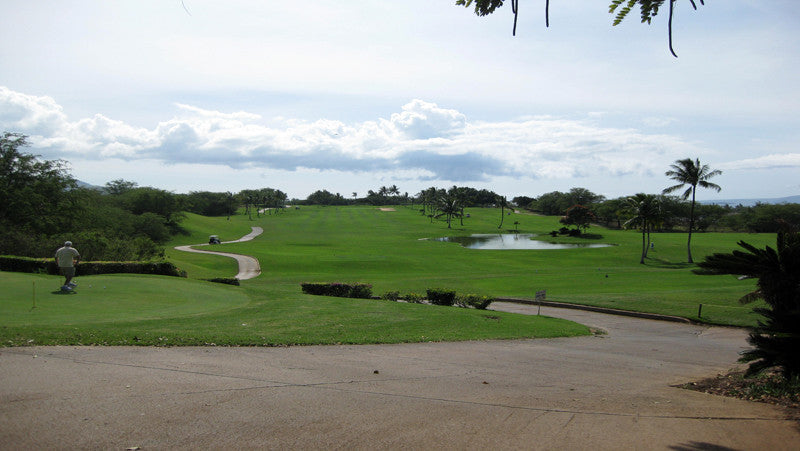 Elleair Golf Club 4