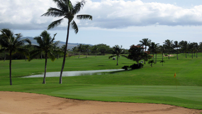 Elleair Golf Club 1