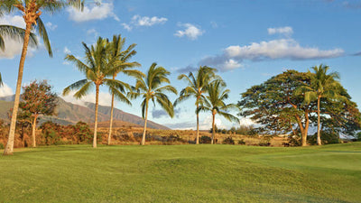 Kaanapali Kai Golf Course green