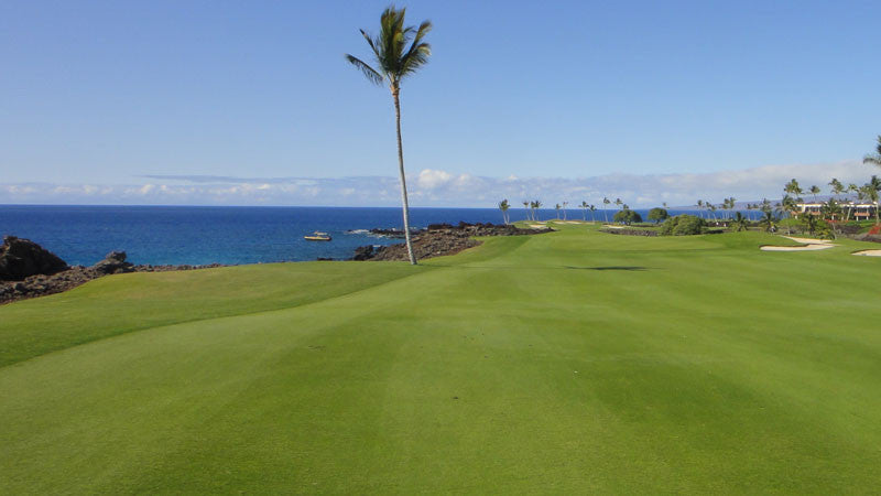 Mauna Lani Resort South Course